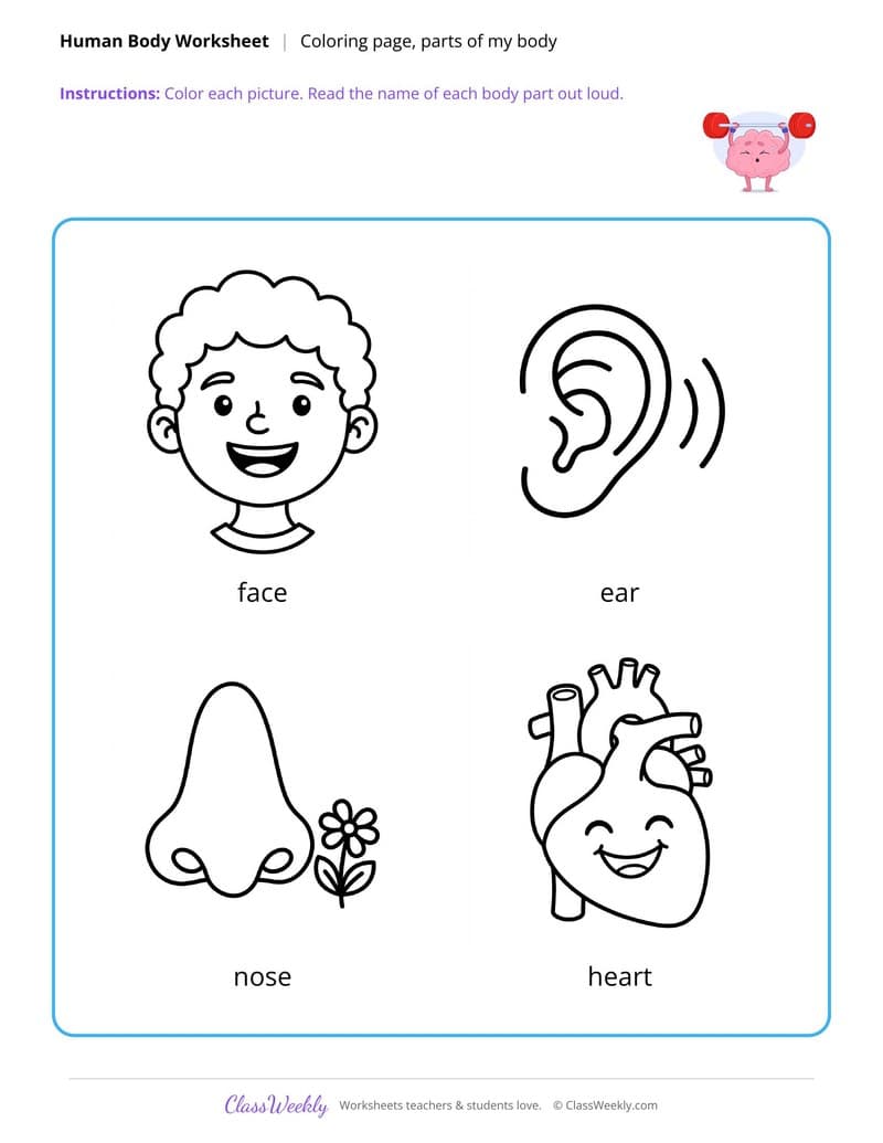 Parts of My Body Coloring Page - Human Body - 1st Grade Coloring Pages worksheet preview