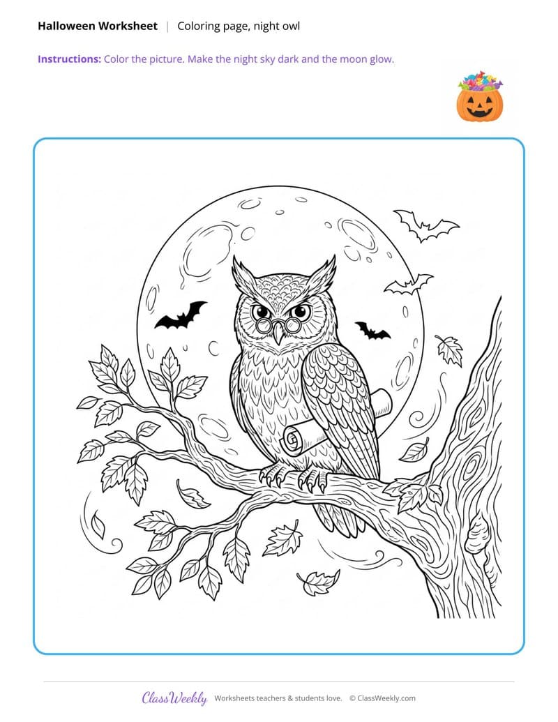 Night Owl Coloring Page - Halloween - 5th Grade Coloring Pages worksheet preview