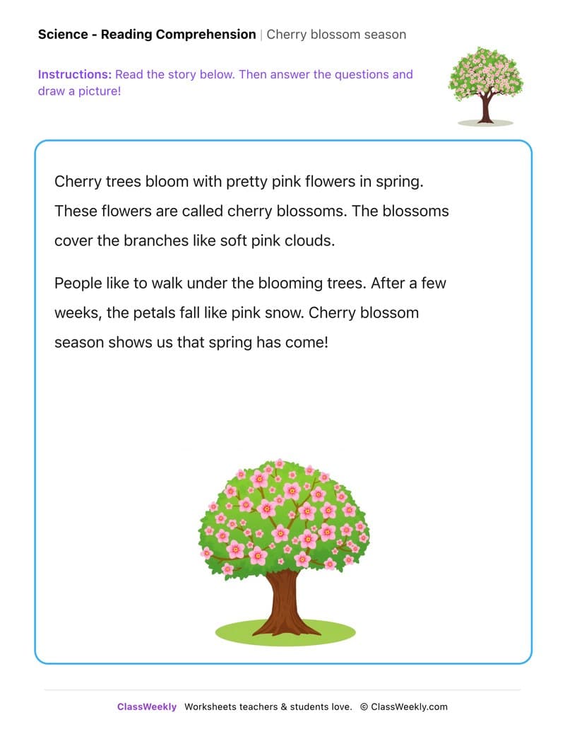 Cherry blossom season - Kindergarten worksheet preview