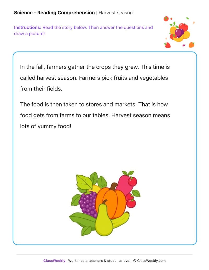 Harvest season - Kindergarten worksheet preview