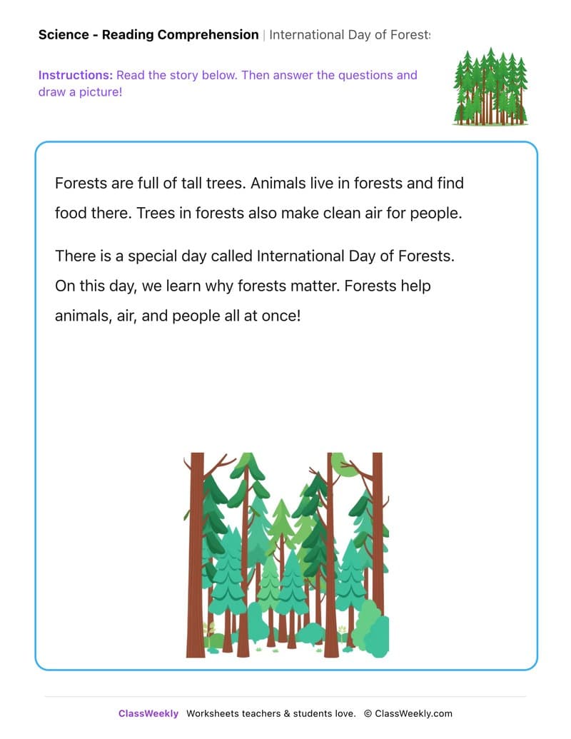 International Day of Forests - Kindergarten worksheet preview