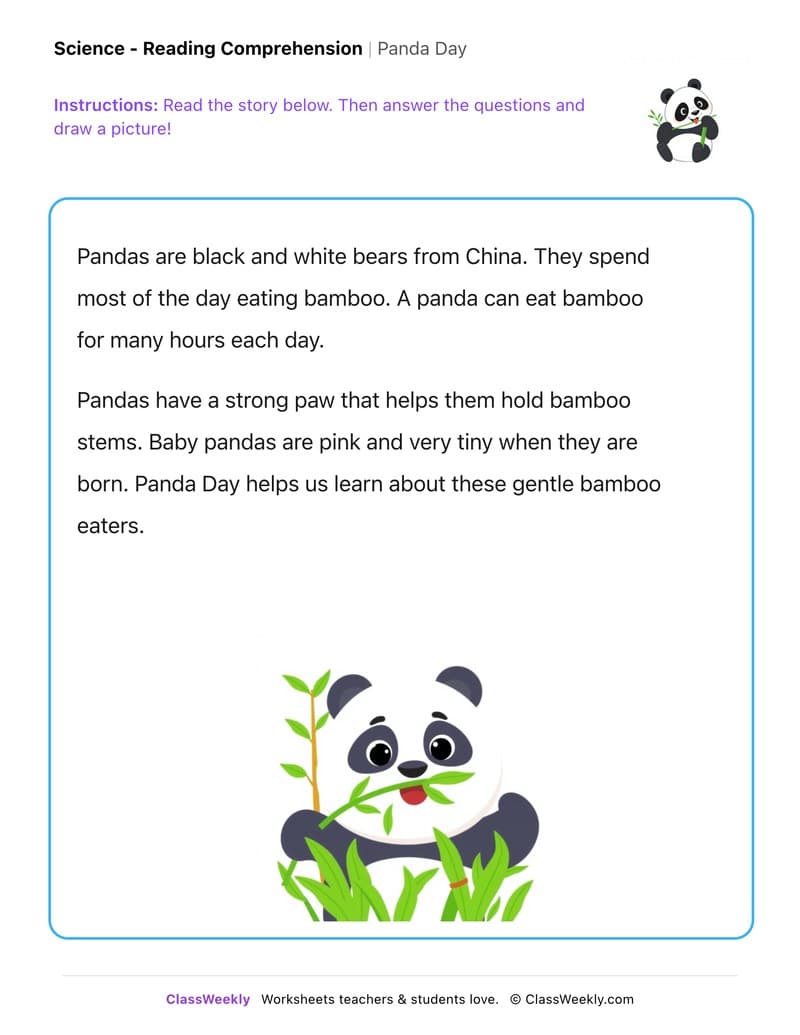 Panda Day - Kindergarten worksheet preview