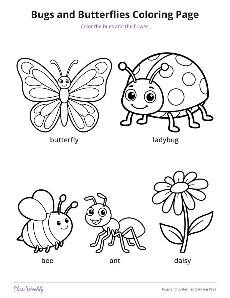 Bugs and Butterflies Coloring Page - Kindergarten Coloring Pages printable preview