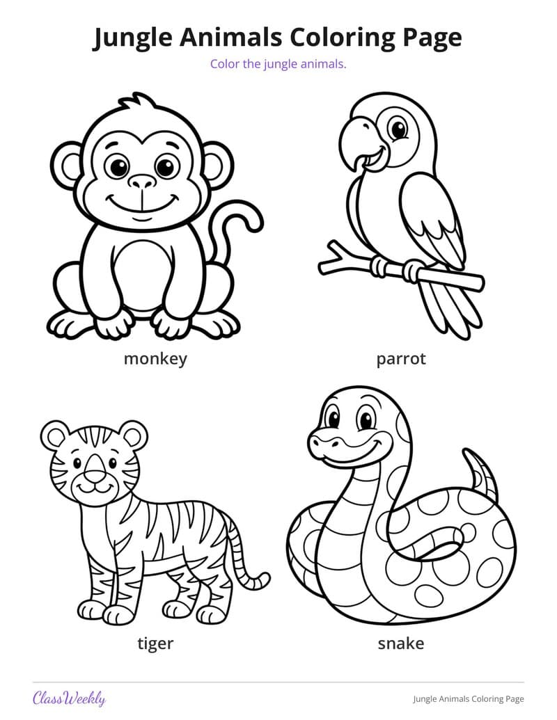Jungle Animals Coloring Page - Kindergarten Coloring Pages printable preview