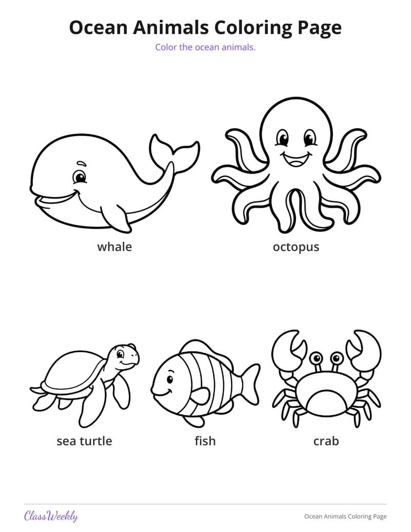 Ocean Animals Coloring Page - Kindergarten Coloring Pages printable preview