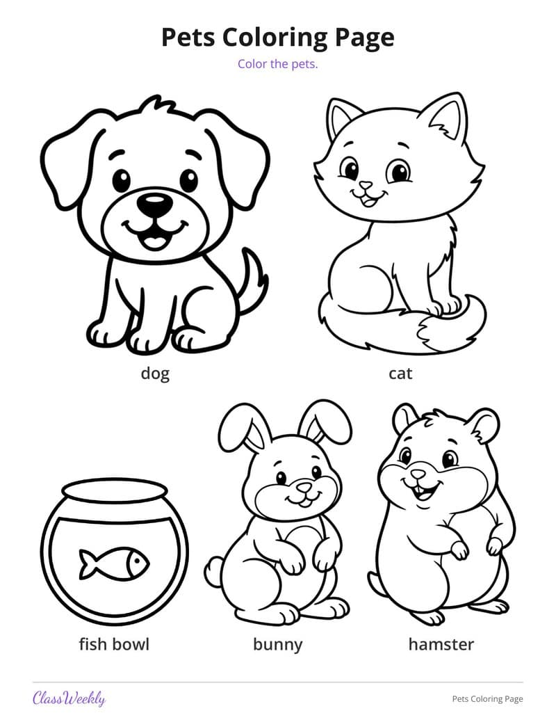 Pets Coloring Page - Kindergarten Coloring Pages printable preview