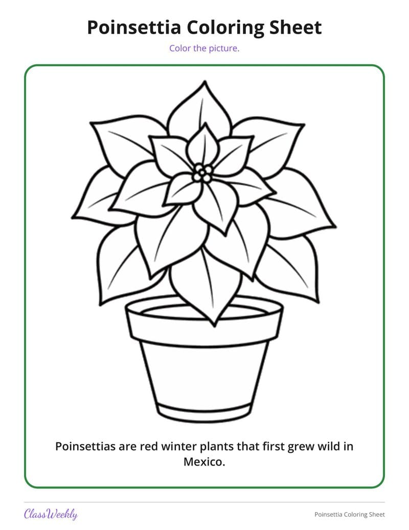 Poinsettia Coloring Sheet - 4th Grade Coloring Pages printable preview