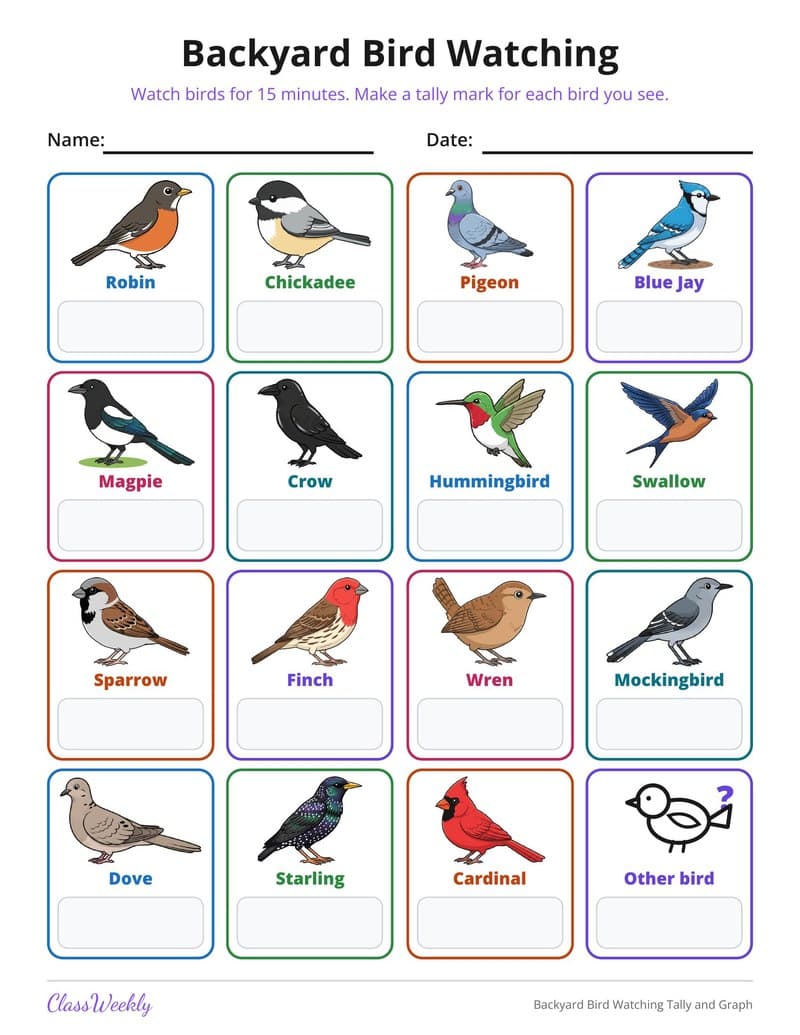 Backyard Bird Watching Tally and Graph - 2nd Grade Holiday Activities printable preview