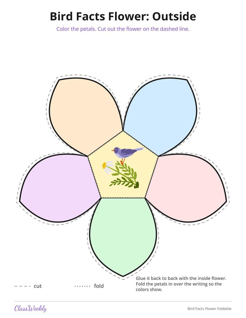 Bird Facts Flower Foldable - 2nd Grade Holiday Activities printable preview