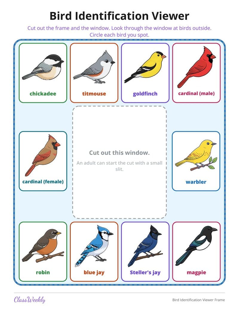 Bird Identification Viewer Frame - 2nd Grade Holiday Activities printable preview