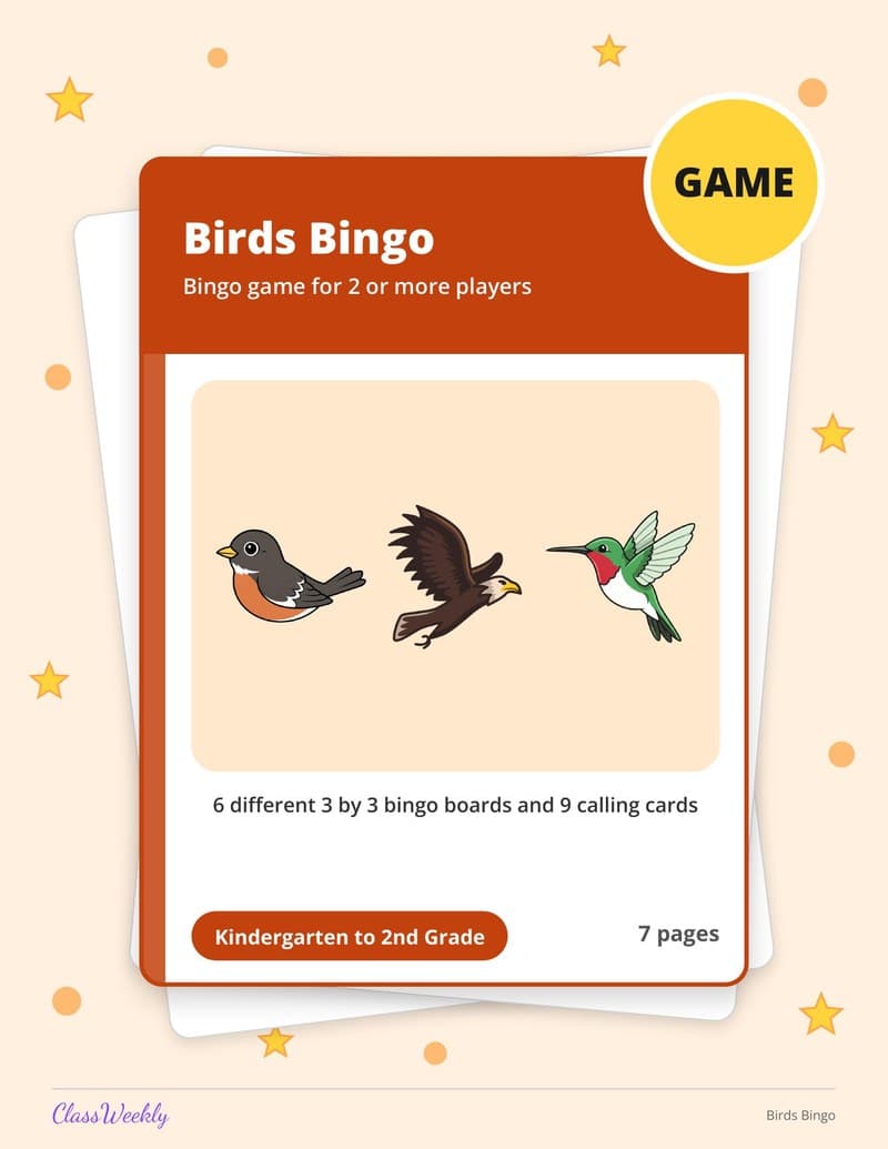 Birds Bingo - 2nd Grade Holiday Activities printable preview