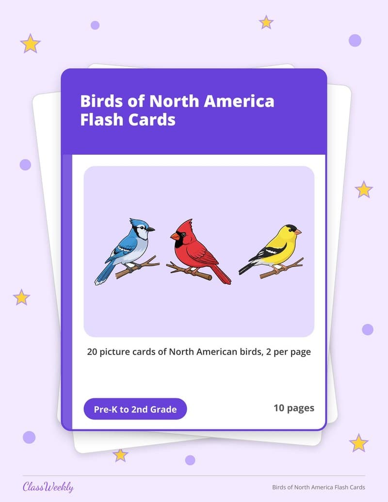 Birds of North America Flash Cards - 2nd Grade Holiday Activities printable preview