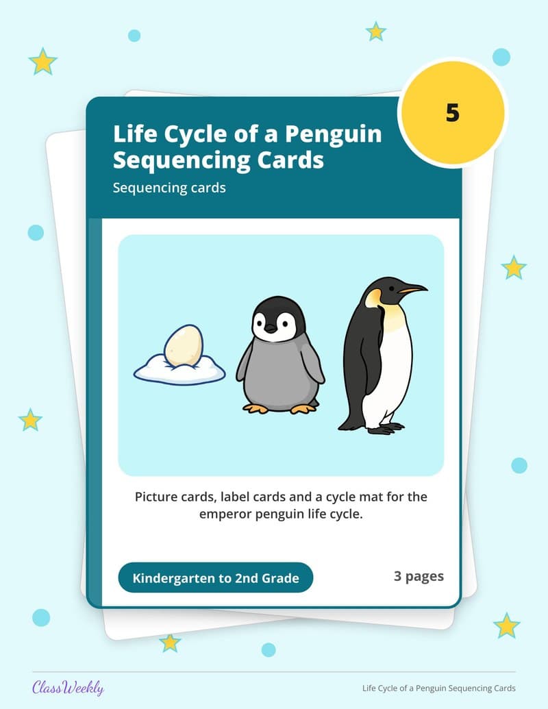 Life Cycle of a Penguin Sequencing Cards - 2nd Grade Holiday Activities printable preview