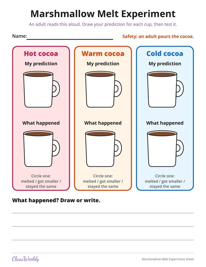 Marshmallow Melt Experiment Sheet - Kindergarten Holiday Activities printable preview