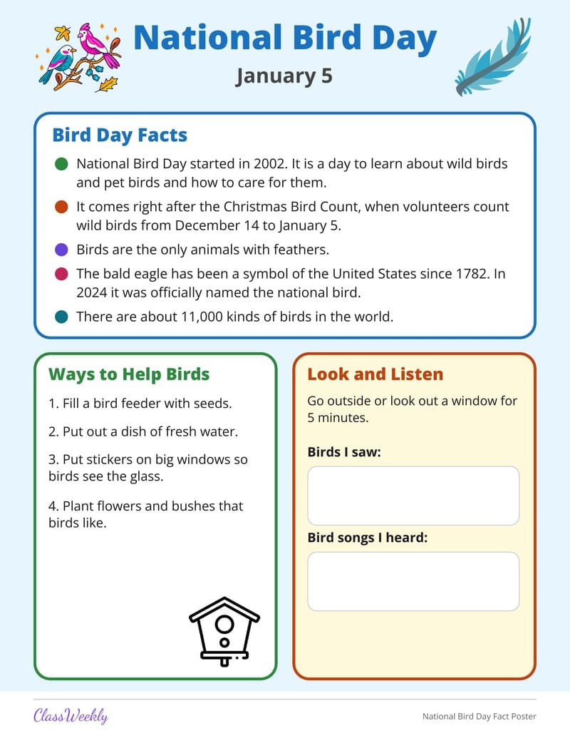 National Bird Day Fact Poster - 3rd Grade Holiday Activities printable preview