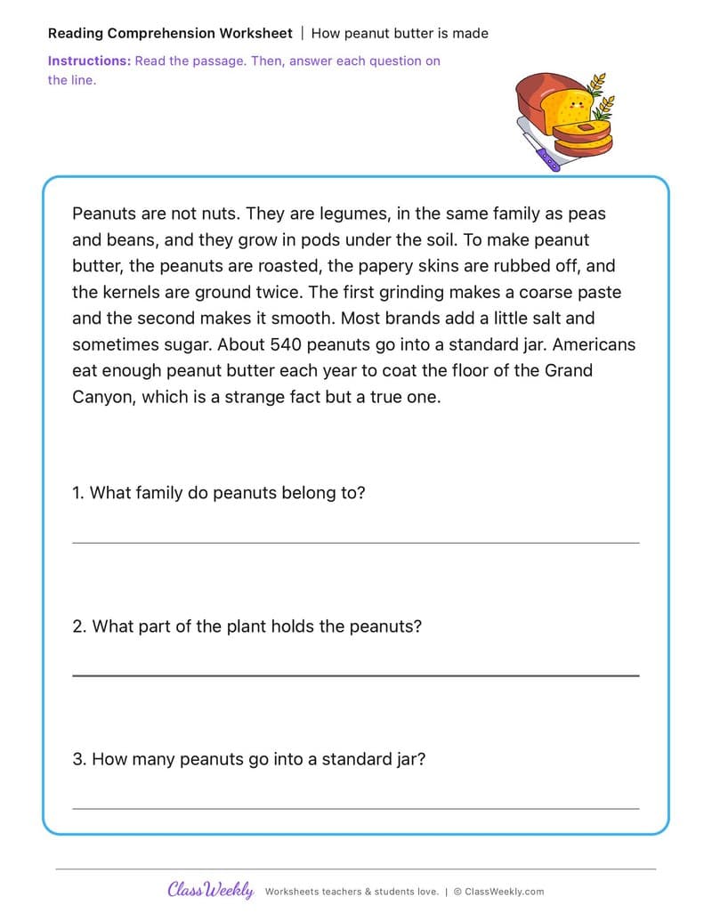 How peanut butter is made - National Peanut Butter Day - 2nd Grade worksheet preview