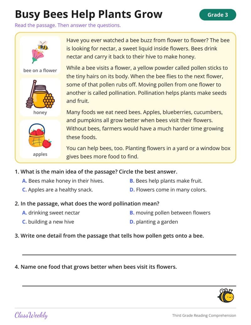 Third Grade Reading Comprehension - 3rd Grade English & Reading printable preview