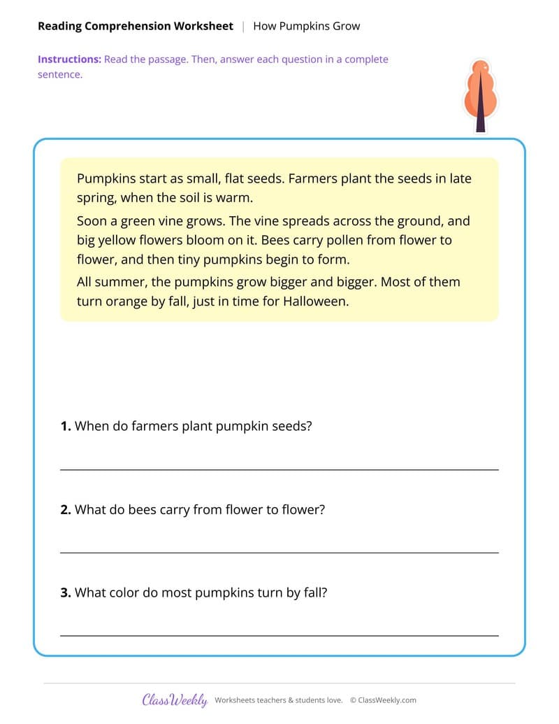 How Pumpkins Grow - Halloween - 3rd Grade worksheet preview