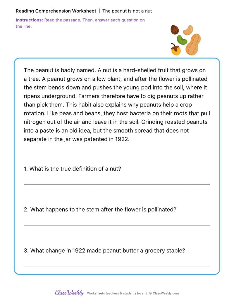 The peanut is not a nut - National Peanut Butter Day - 3rd Grade worksheet preview