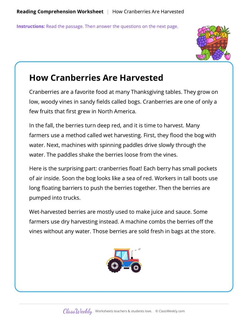 Thanksgiving Reading Comprehension: Cranberries - 3rd Grade worksheet preview