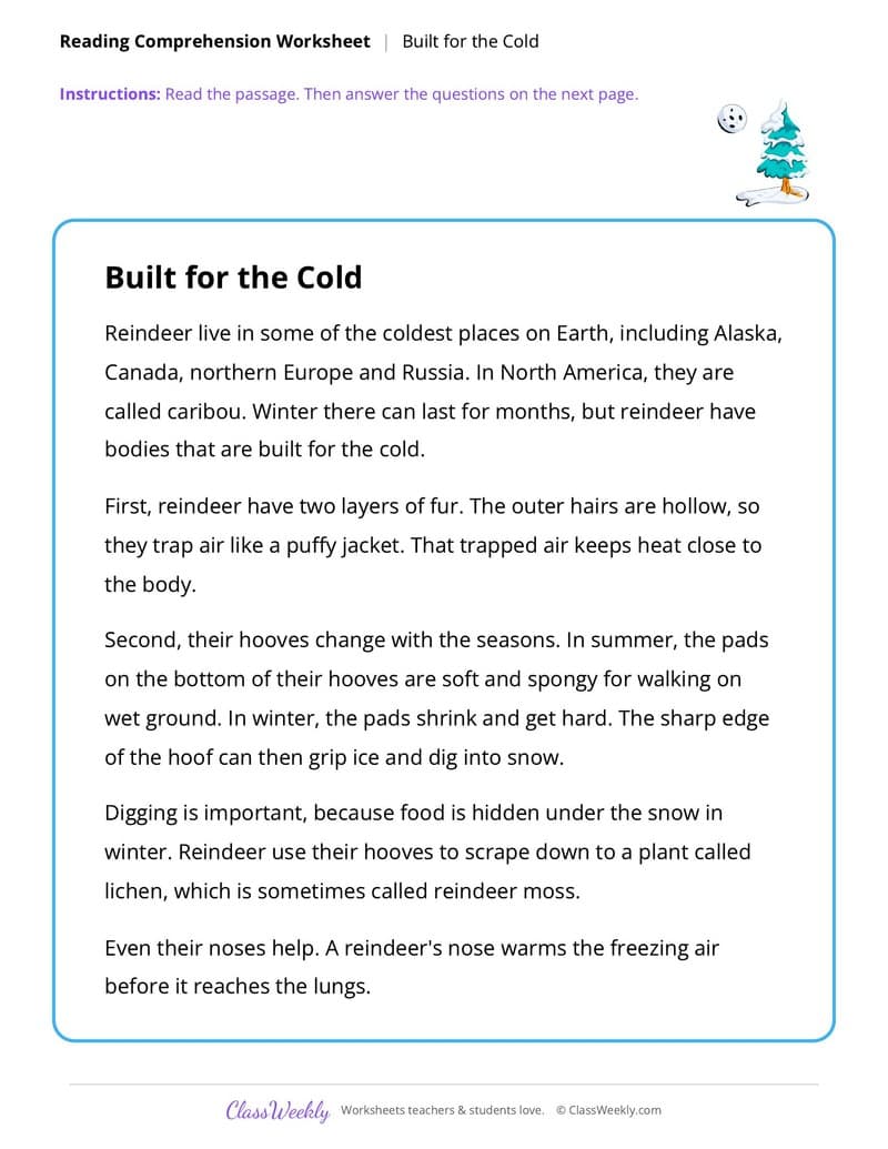 Christmas Reading Comprehension: Reindeer - 3rd Grade worksheet preview