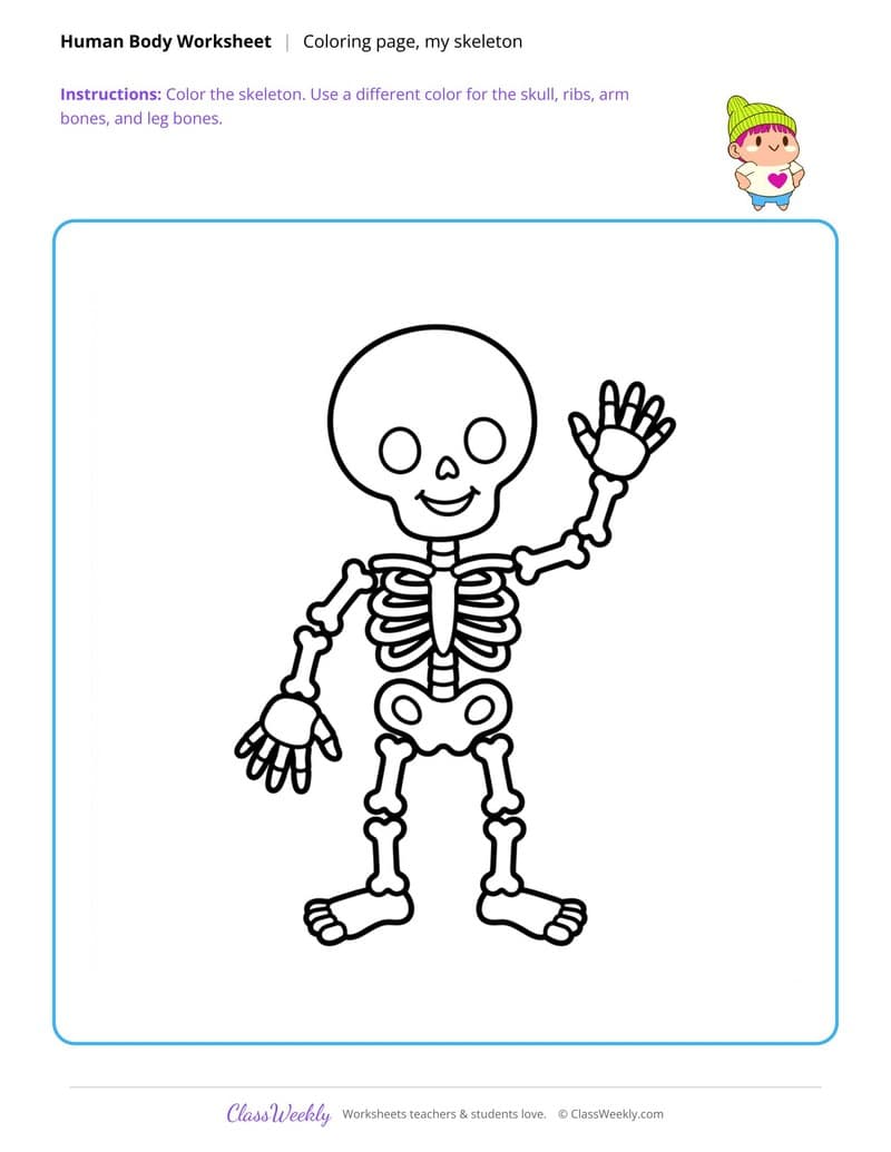 My Skeleton Coloring Page - Human Body - 3rd Grade Coloring Pages worksheet preview