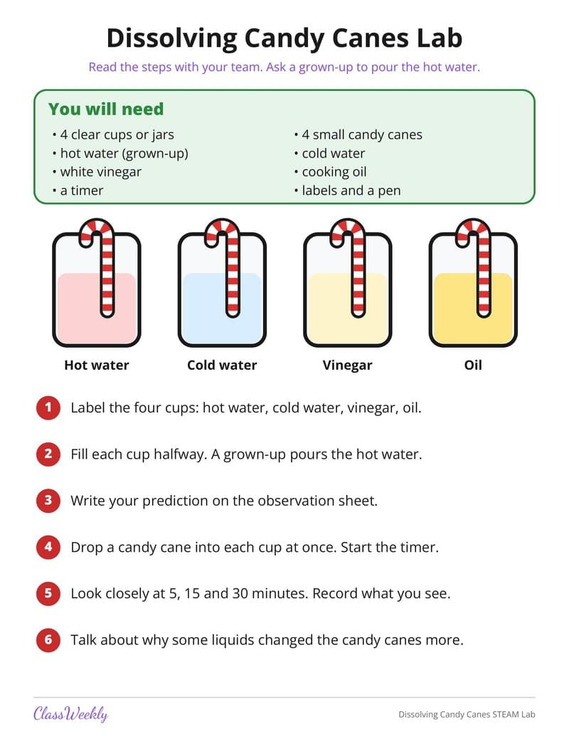 Dissolving Candy Canes STEAM Lab - 4th Grade Holiday Activities printable preview