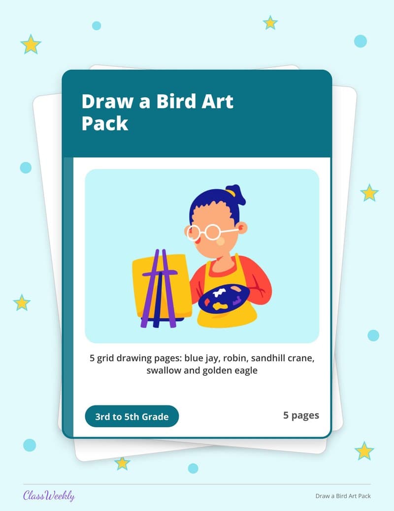 Draw a Bird Art Pack - 4th Grade Holiday Activities printable preview