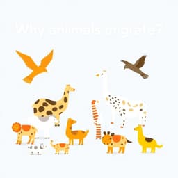 Animal Migration Season