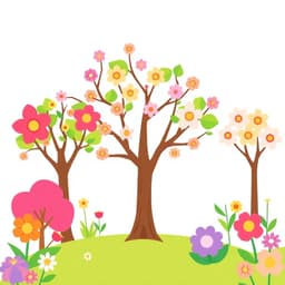 Cherry Blossom Season