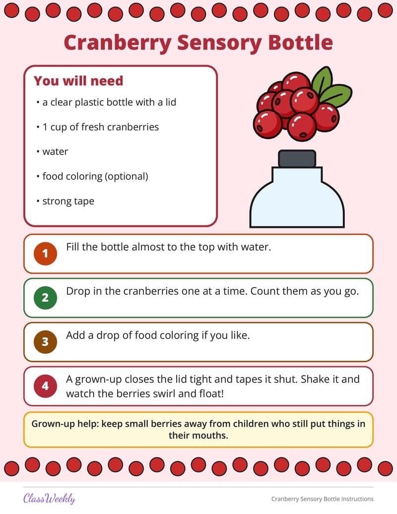 Cranberry Sensory Bottle Instructions - 2nd Grade Holiday Activities printable preview