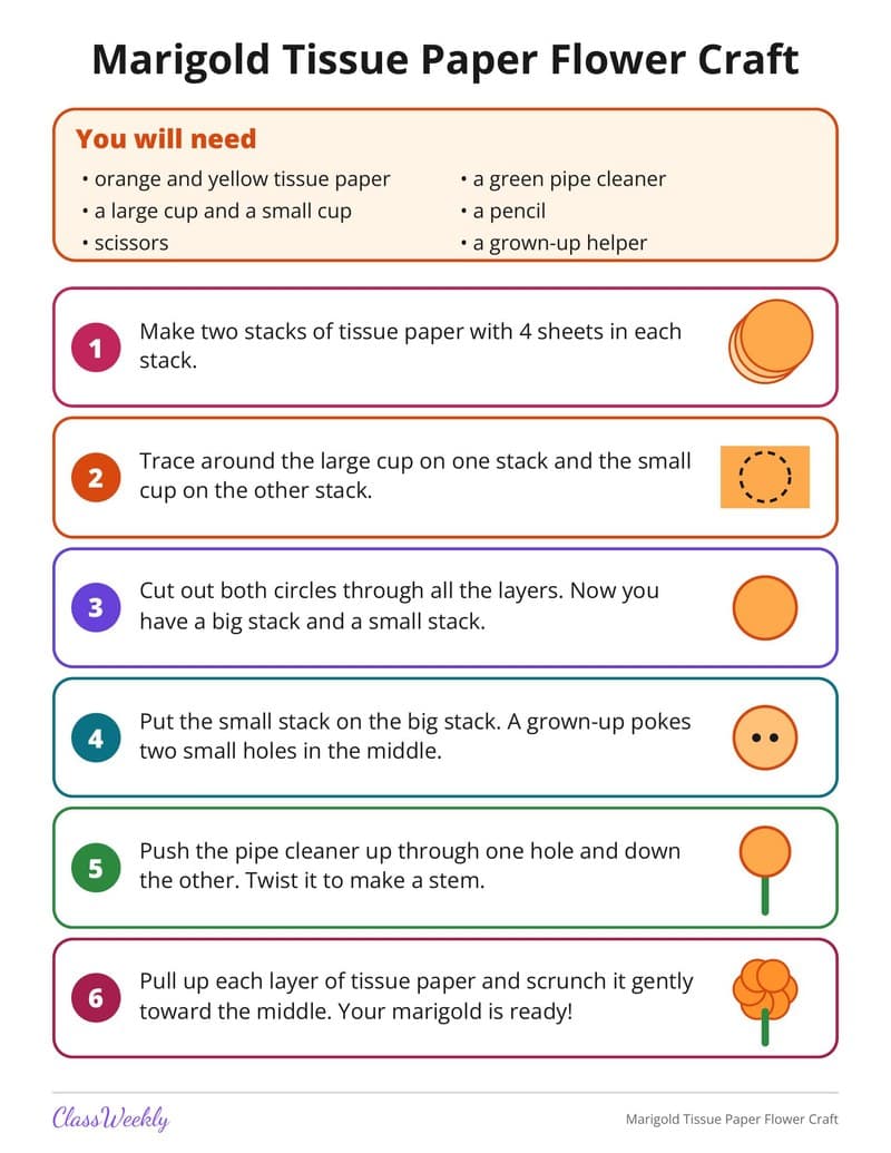 Marigold Tissue Paper Flower Craft - 3rd Grade Holiday Activities printable preview