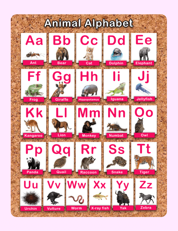 Animal Alphabet Printable (8.5x11) worksheet preview