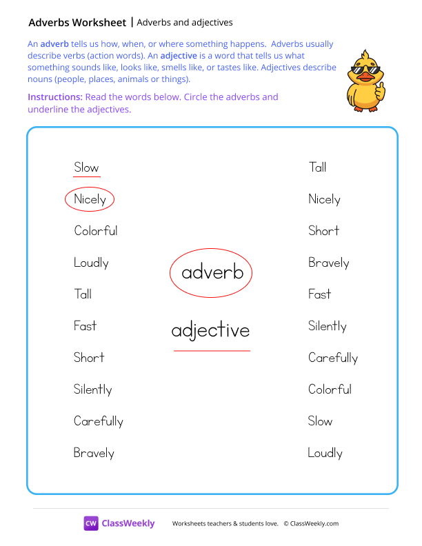 Adverbs and adjectives - Duck worksheet preview