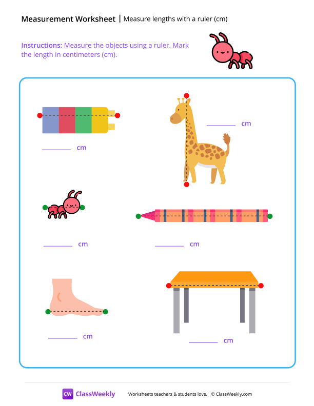 Measure lengths with a ruler (cm) - ant worksheet preview
