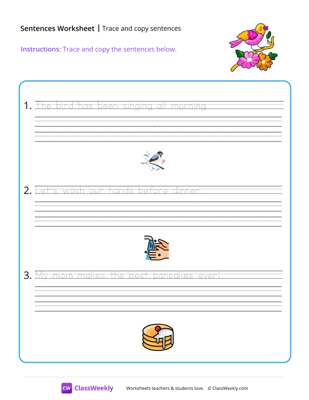Trace and copy sentences - Bird worksheet preview
