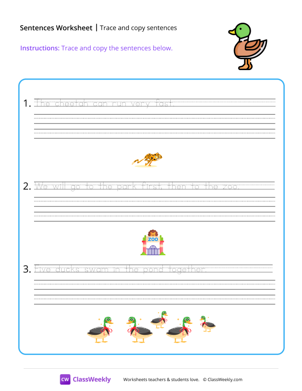 Trace and copy sentences - Duck worksheet preview