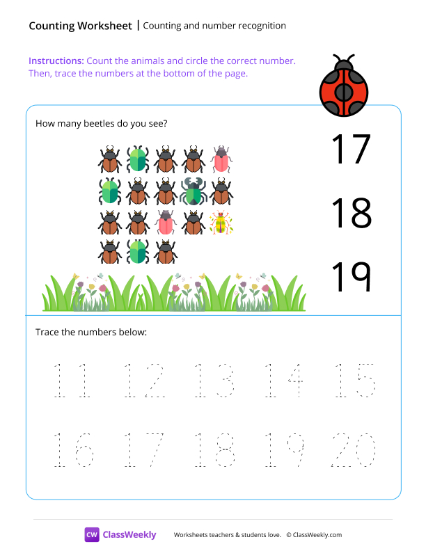Counting and number recognition (18) - Ladybug worksheet preview