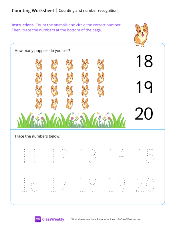 Counting and number recognition (19) - Puppy worksheet preview
