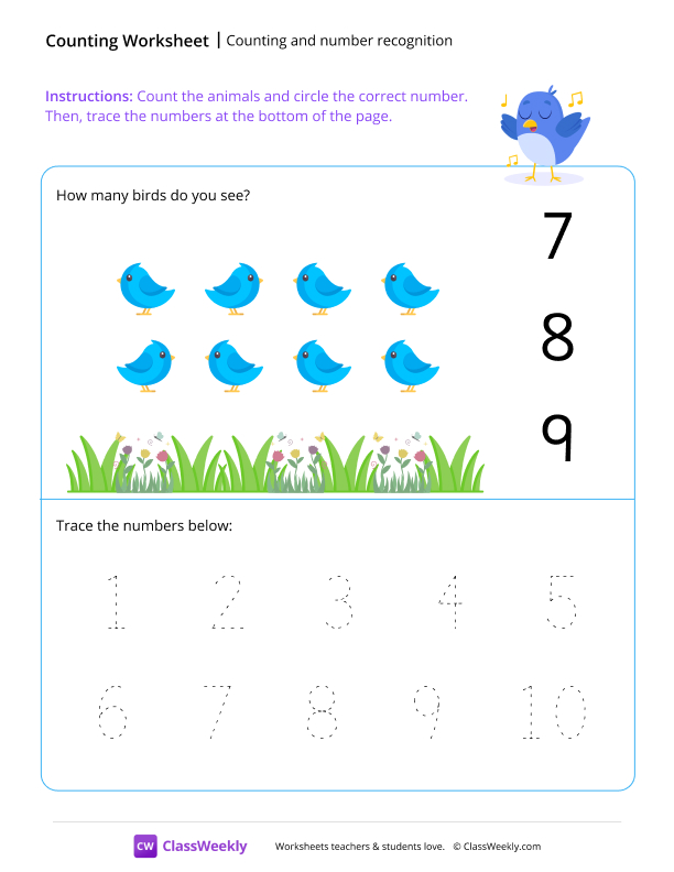 Counting and number recognition (8) - Bird worksheet preview