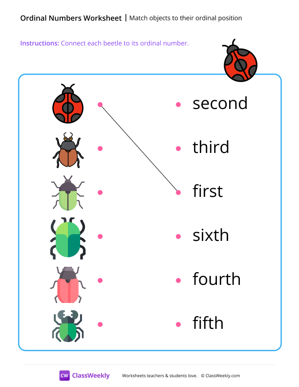 Match objects to their ordinal position - Beetle worksheet preview