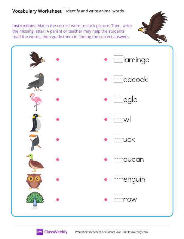 Identify and write animal words worksheet preview