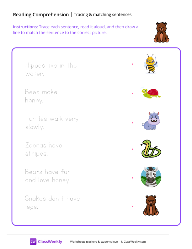 Trace and Match - Bear worksheet preview
