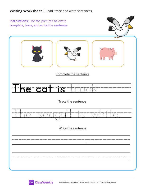 Read, trace and write sentences - Seagull worksheet preview
