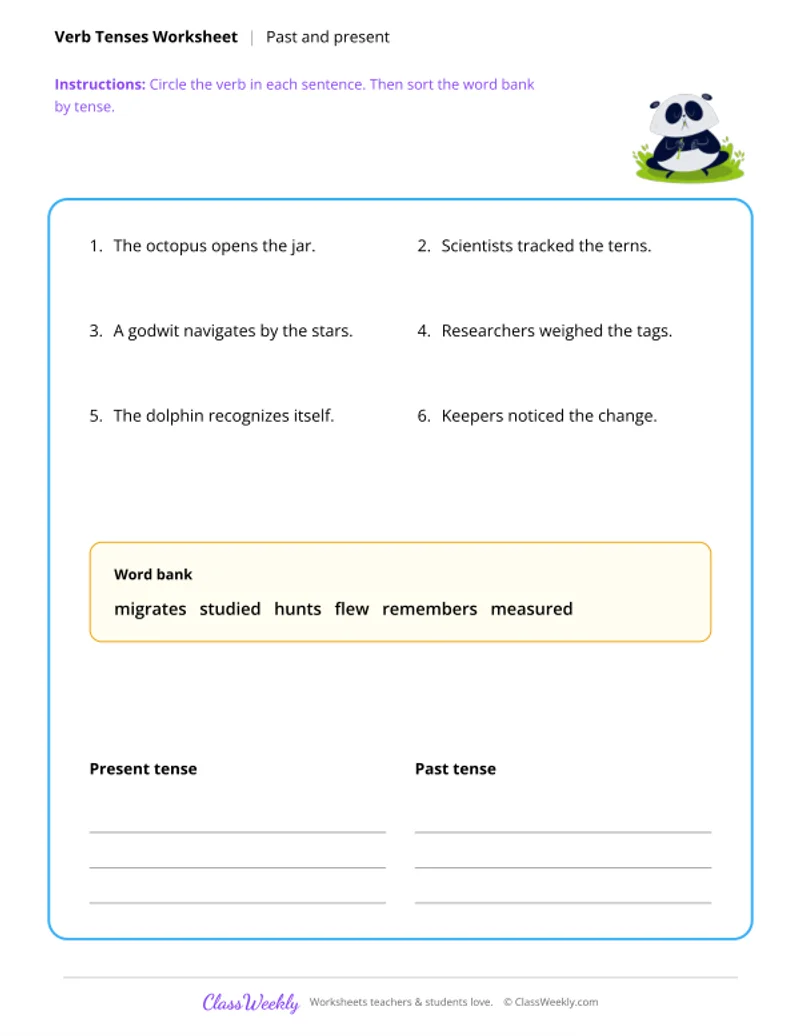 Verb Tenses - Past and Present