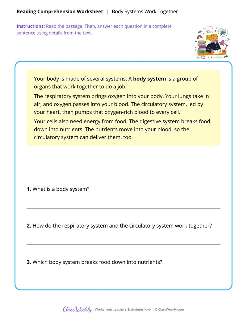 Body Systems Work Together - Human Body