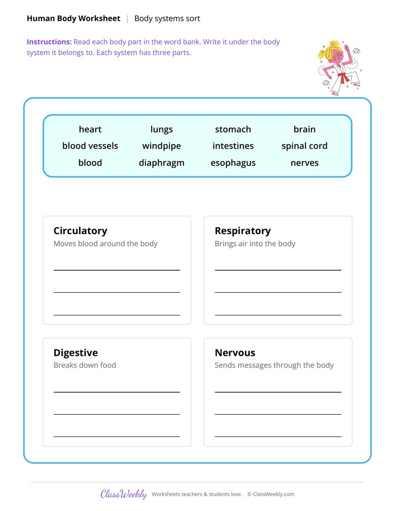 Body Systems Sort