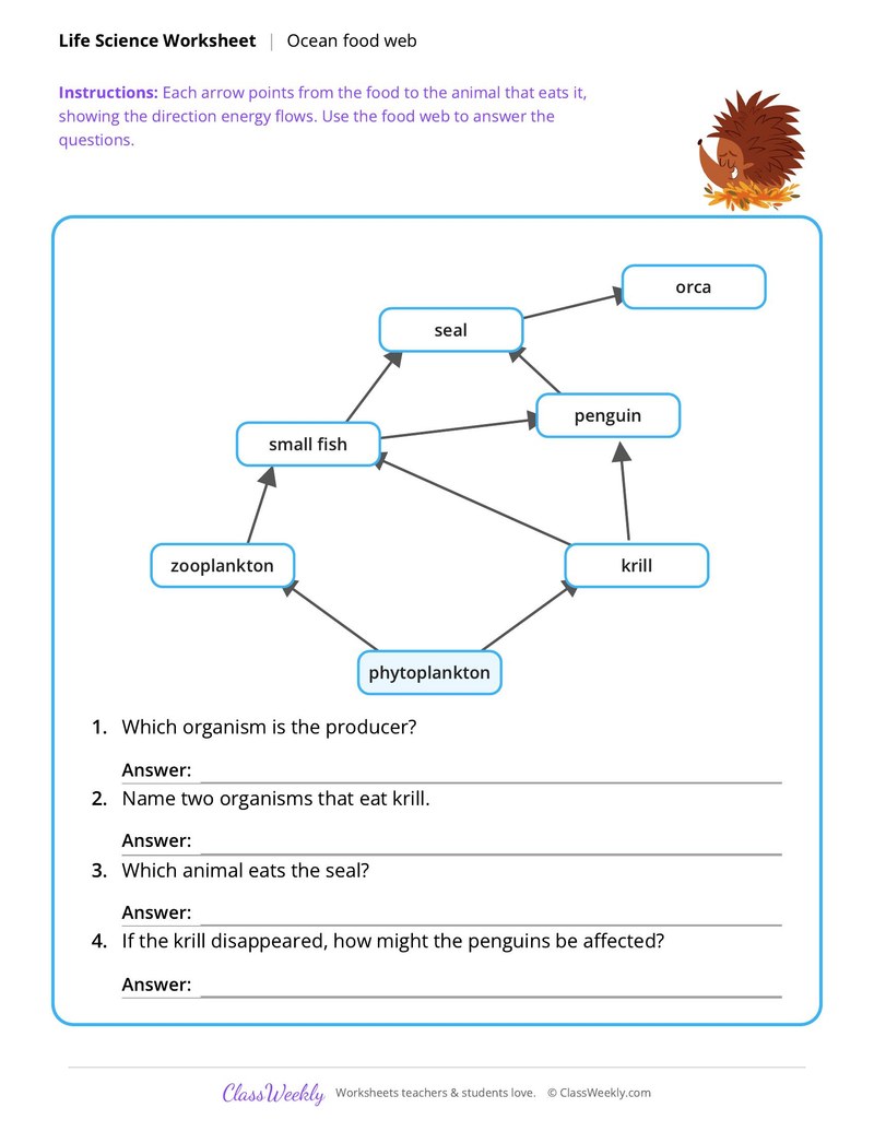 Life Science: Ocean food web