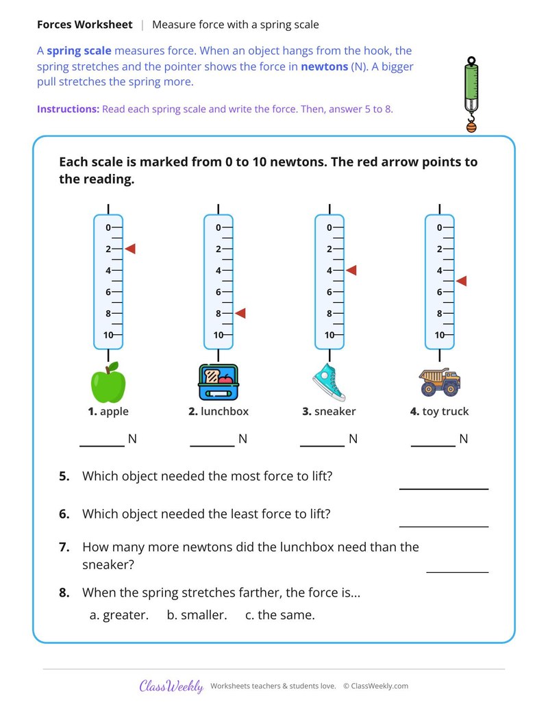 Measure Force With a Spring Scale