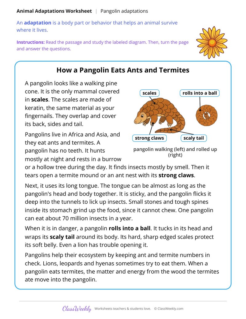 How a Pangolin Eats Ants and Termites, Read and Answer - Page 1